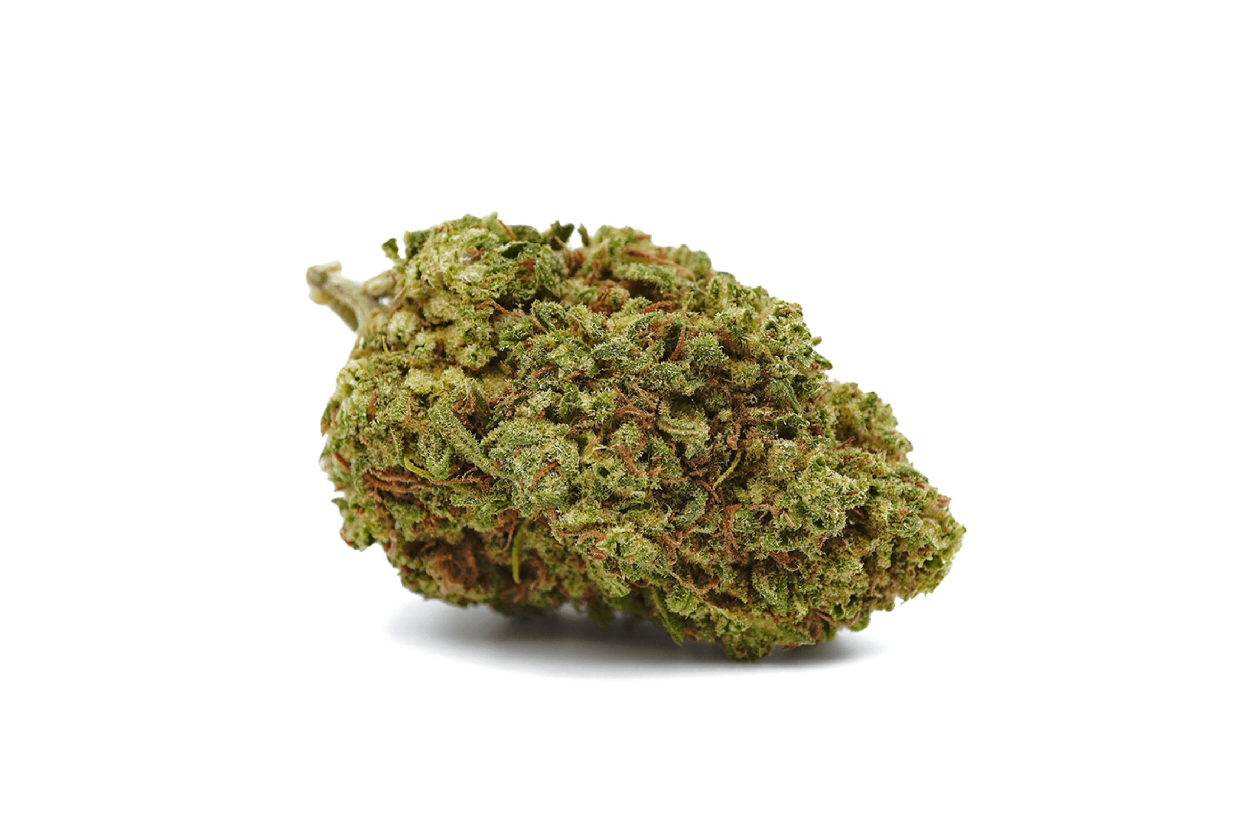 Amnesia — CBD Flowers
